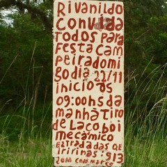 O São João das palavras