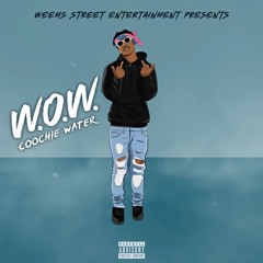 Coochie Water - Savage Mode - Master