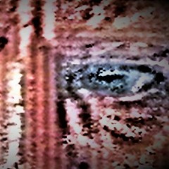 Soviet Swansong Siren