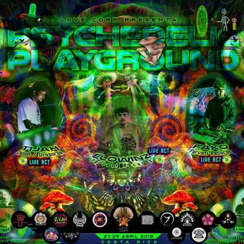 Wario djset Psychedelic tech Playground @ Lovecorp