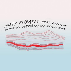 Phrases 21-30. Urreke Aretyenhenge!