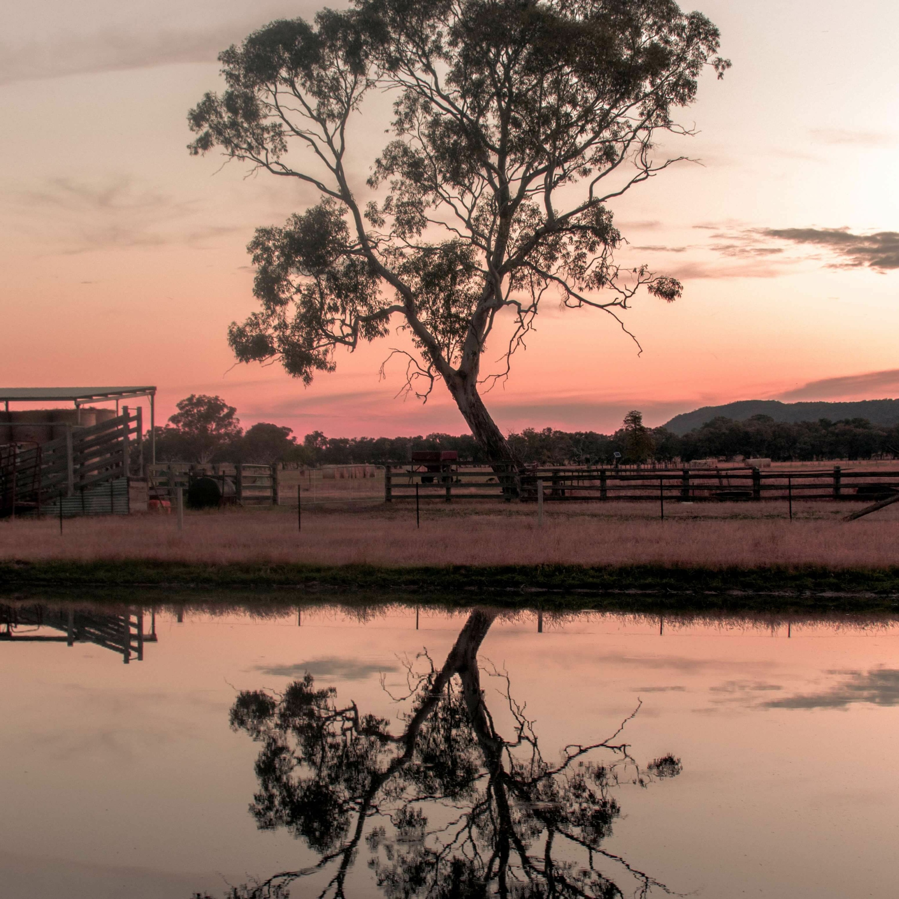 Episode 3 - Wangaratta episode artwork