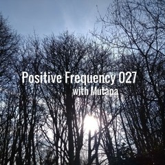 Positive Frequency Podcast 027 with Mutapa