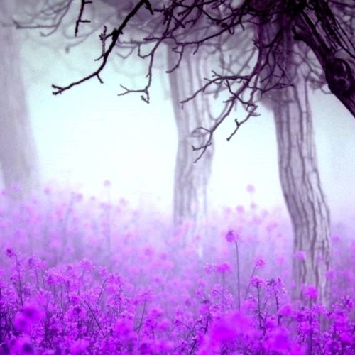 Relaxing Vol. 2: Hueco Mundo