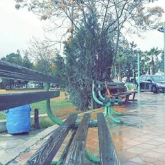 سورة الزخرف كاملة الشيخ القارئ أبو بكر الشاطري