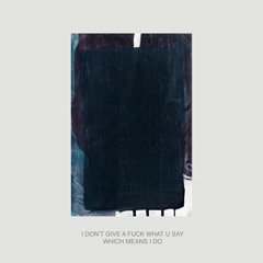 I Don't Give A Fuck What U Say, Which Means I Do