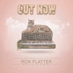 Ron Flatter -Muscle Of Synths - Album Mix
