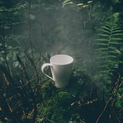 Aloysia (Original Mix)