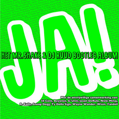 JA! Het MR.SHAKE & DJ RUUD Bootleg Album Promo Mixje