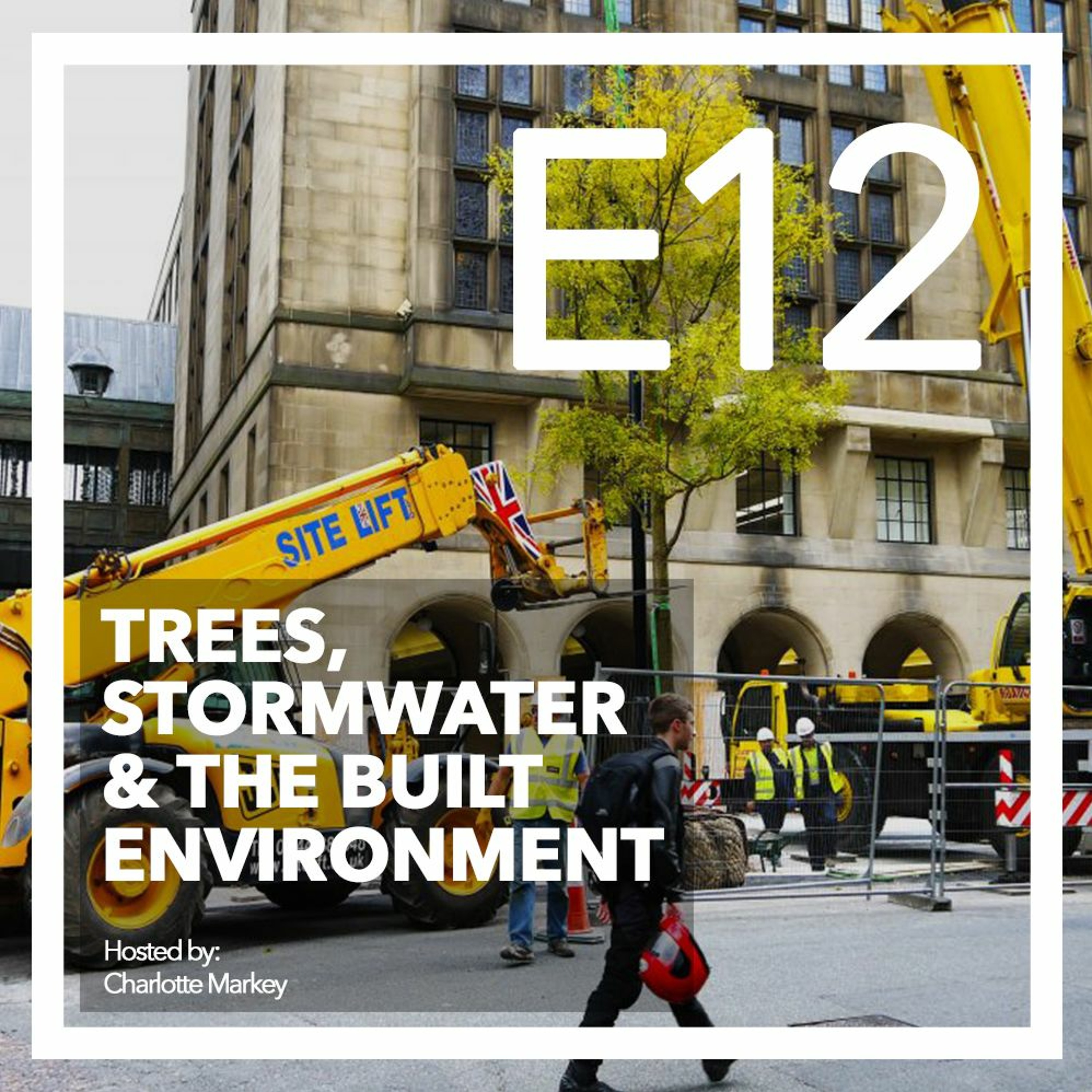 Trees-Stormwater