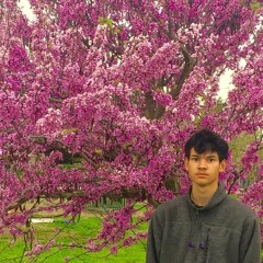 Change of Plans - misbeHayes (Prod. DatBoiDJ)