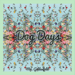 Mr. Goldenfold - Dreamin