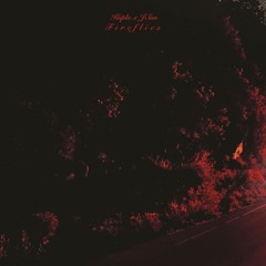 Kupla X j'san - Fireflies