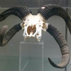 ЛЮБОВЬ И МУЗЫКА