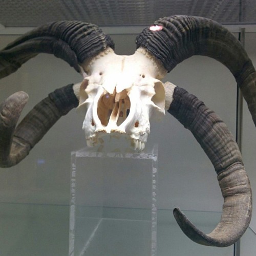 ЛЮБОВЬ И МУЗЫКА