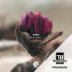 TB Premiere: Sean Miller - Je t'aime [Cadenza Music]
