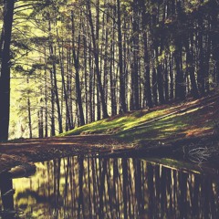 Pond Confessions