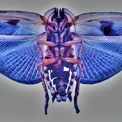 Got damn u fine cockroach v2