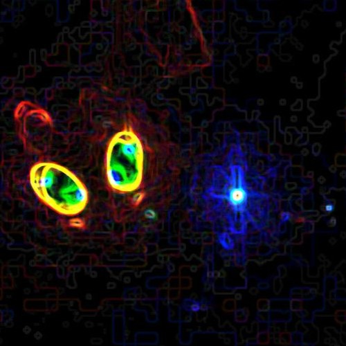 Acid Automation // HgtS