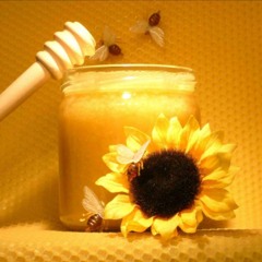 Sunflower&Honey (original song by Denezia Hymes)