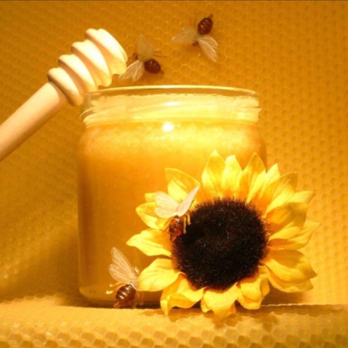Sunflower&Honey (original song by Denezia Hymes)