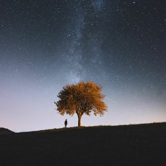 instrumental