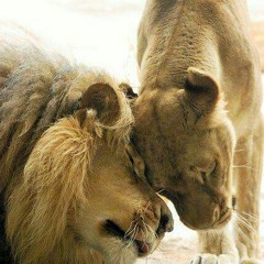 IUIC: Marital Lessons