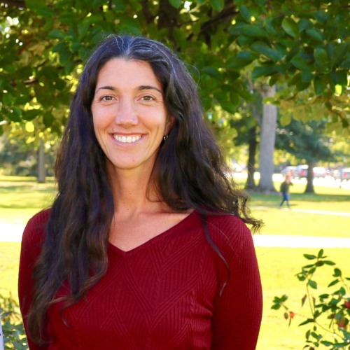 Stream Dr. Shana Haines Making Connections by SWIFT Unscripted