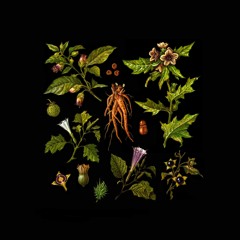 Folklore of Plants Vol.II - Venefic Garden