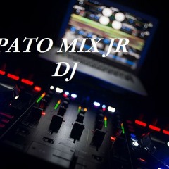 NO LLORES - JUANITA BURBANO - PATO MIX JR - DJ RMX