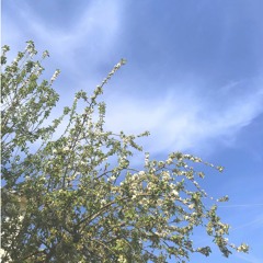 Kaybolmak Üzereyim (bir garip şarkı taslağı)