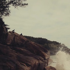 Laqqu - Dança Da Involução