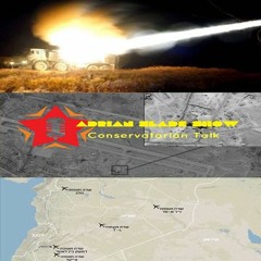 Disinformation Overload - Serious Syria Info Static