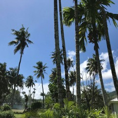 Aapa Maia x Le Eva Eva Band Vol.6