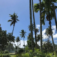 Penina x Le Eva Eva Band Vol.6