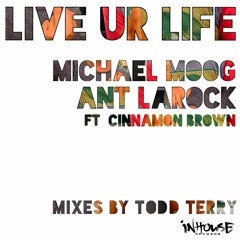 Ant LaRock & Michael Moog 'Live Ur Life' Feat. Cinnamon Brown (Todd Terry DJ Mix)