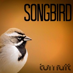 Tornait - Songbird