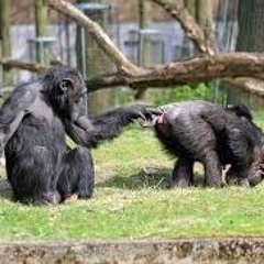 One Way Street ft. KTL<3