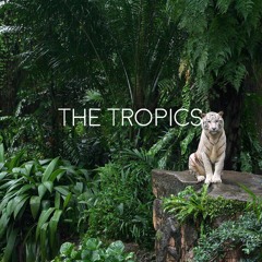 *FREE DOWNLOAD* Drake Type Beat - "The Tropics" (Prod.Ill Instrumentals)