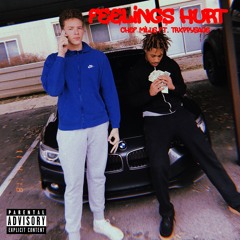 Feelings Hurt ft. Trxppysage [prod. swavve]