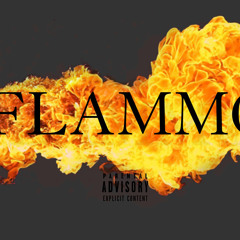 FLAMMO