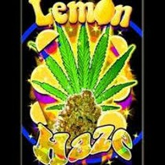 Main Songs