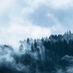 Mist Forest (ALTTP remix)