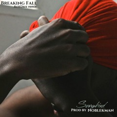 SongBird - Breaking Fall produced by Noblekman