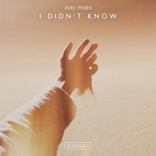 Joel Peres - I Didn't Know