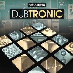 Dubtronic - Maschine & Ableton Kit