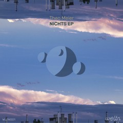 PREMIERE: Theo Meier - Disposition [weltn audio]