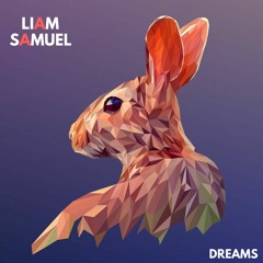 Liam Samuel & WildVibes & Jay Eskar - Dreams (Original Mix)