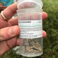 Old Skool SBS Niche mix 1995-2005