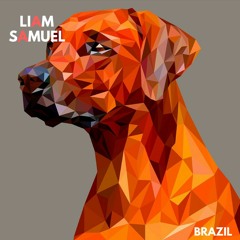 Liam Samuel - Brazil (Original Mix)